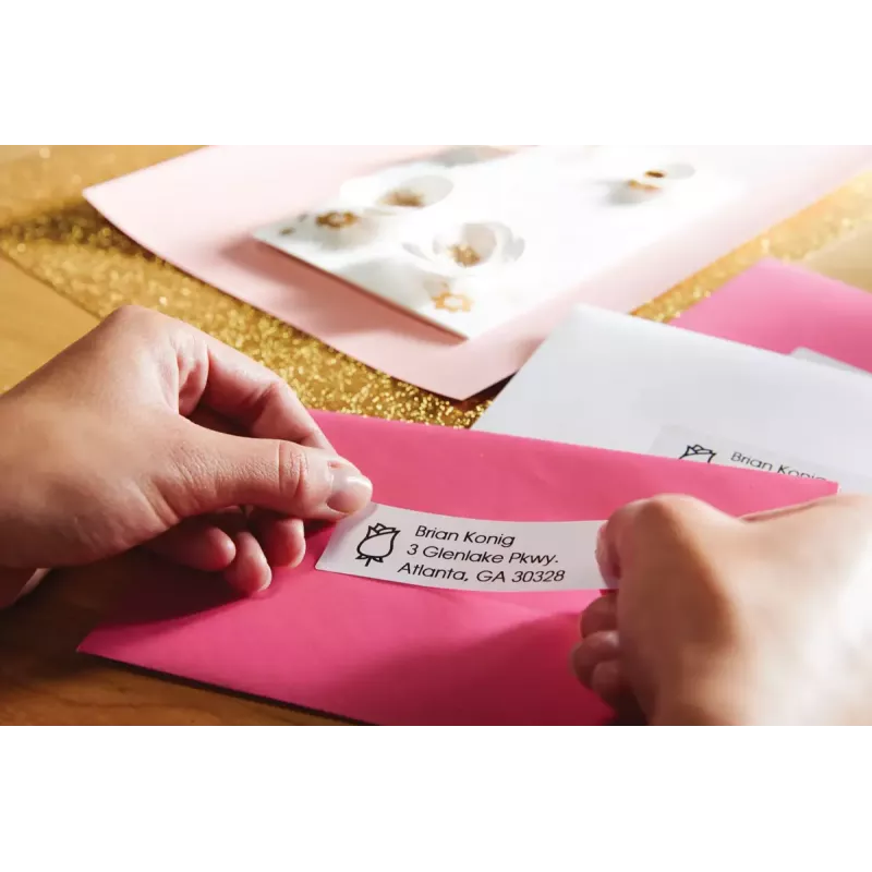DYMO LabelWriter 550 Label Printer | Label Maker with Direct Thermal Printing | Automatic Label Recognition | Prints Address LabelsShipping LabelsBarcode Labels & More | EU 2 Pin Plug