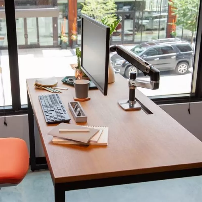 Ergotron LX Desk Mount LCD Arm, Polished Aluminum