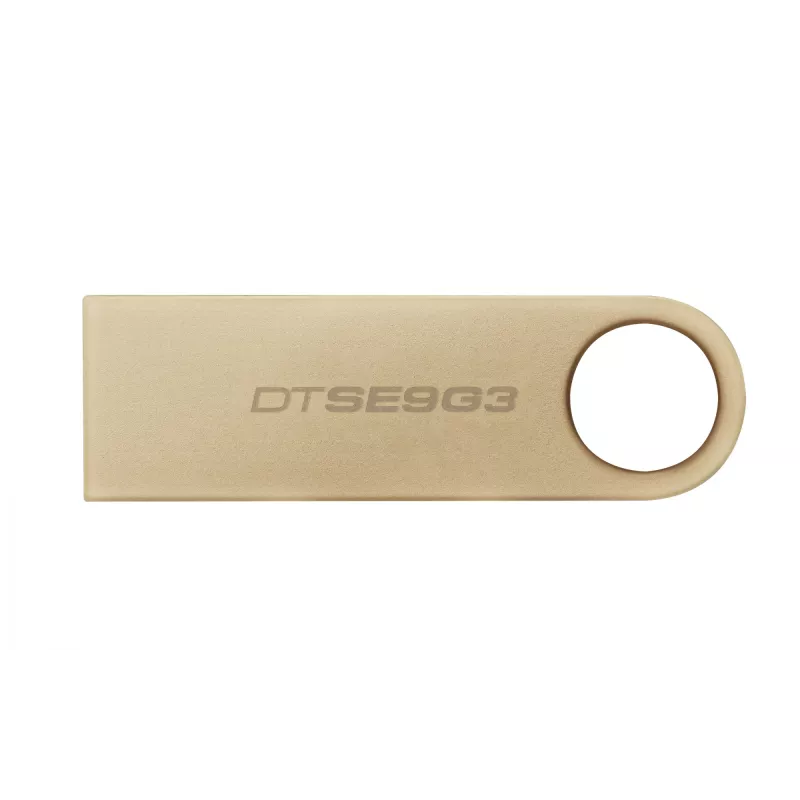 Kingston Technology DataTraveler 256GB 220MB/s Metal USB 3.2 Gen 1 SE9 G3