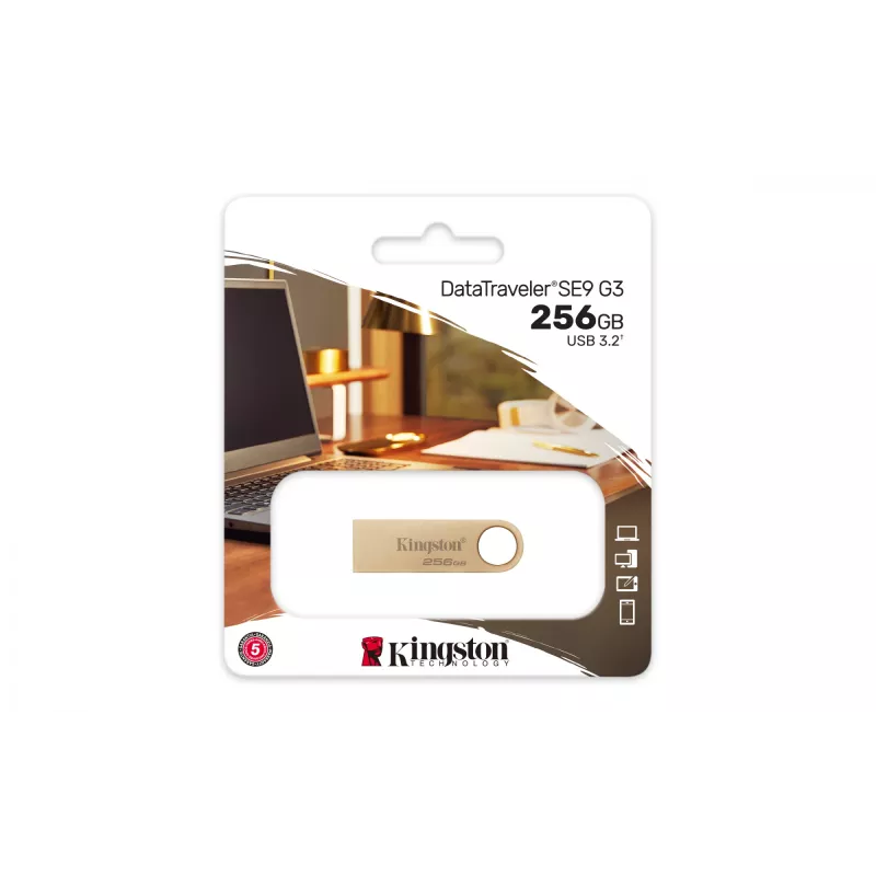 Kingston Technology DataTraveler 256GB 220MB/s Metal USB 3.2 Gen 1 SE9 G3