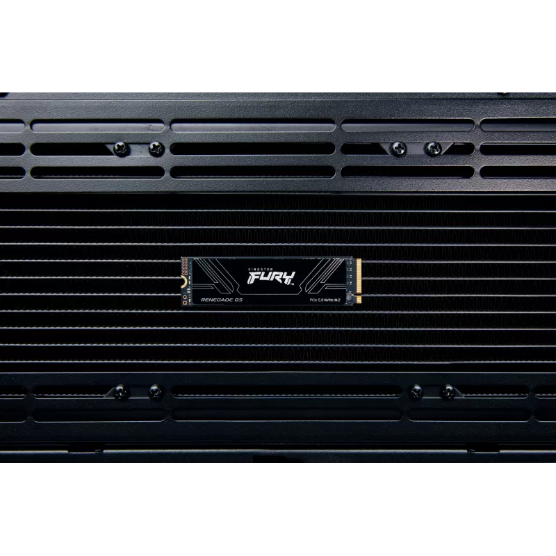 SSD disk Kingston Technology 2T M.2 NVMe 2280 FURY RENEGADE G5