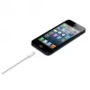 APPLE Lightning To USB Cable (0.5 M)