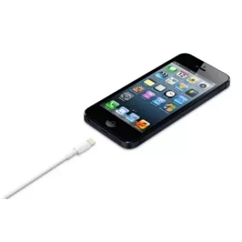 APPLE Lightning To USB Cable (0.5 M)