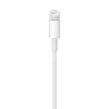APPLE Lightning To USB Cable (0.5 M)