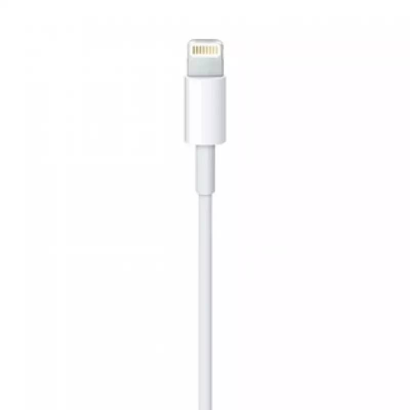 APPLE Lightning To USB Cable (0.5 M)