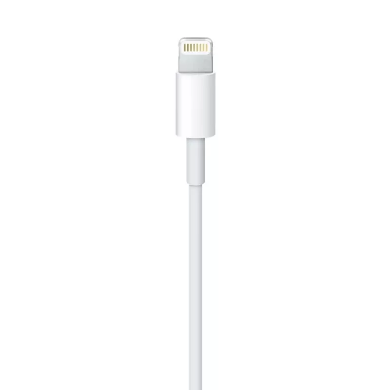 Apple Lightning to USB Cable 2 m MD819ZM/A