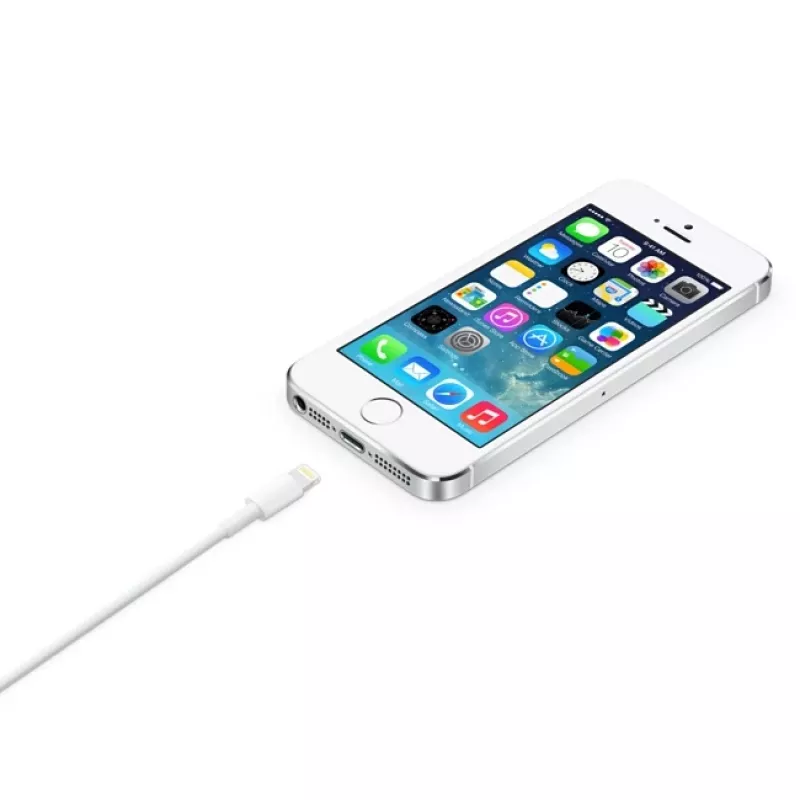 Apple Lightning to USB Cable 2 m MD819ZM/A