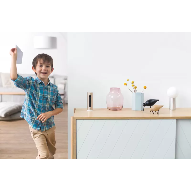 Netatmo Welcome IP security camera Indoor 1920 x 1080 pixels Desk