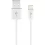 Charging and Sync Cable GOOBAY Lightning to USB A 1 m, 5W / 1A, white