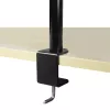 ARCTIC Z1 Basic - Desk Mount Monitor Arm, Clamp, 8 kg, 33 cm (13 inch), 81.3 cm (32 inch), 100 x 100 mm, Black