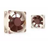 Noctua fan NF-A6x25 PWM 60 mm, 12 V, 550–3000 RPM, 29.2 m³/h, 19.3 dB