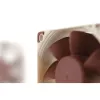 Noctua fan NF-A6x25 PWM 60 mm, 12 V, 550–3000 RPM, 29.2 m³/h, 19.3 dB