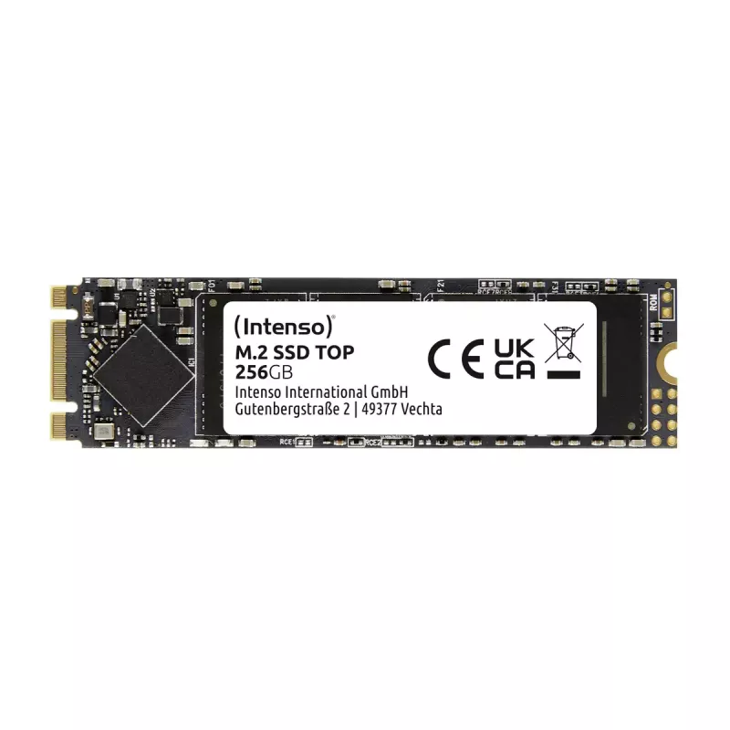 SSD disk Intenso Top 256 GB M.2 Serial ATA III