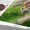 Cartridge Epson 502 black T02V1 C13T02V14010