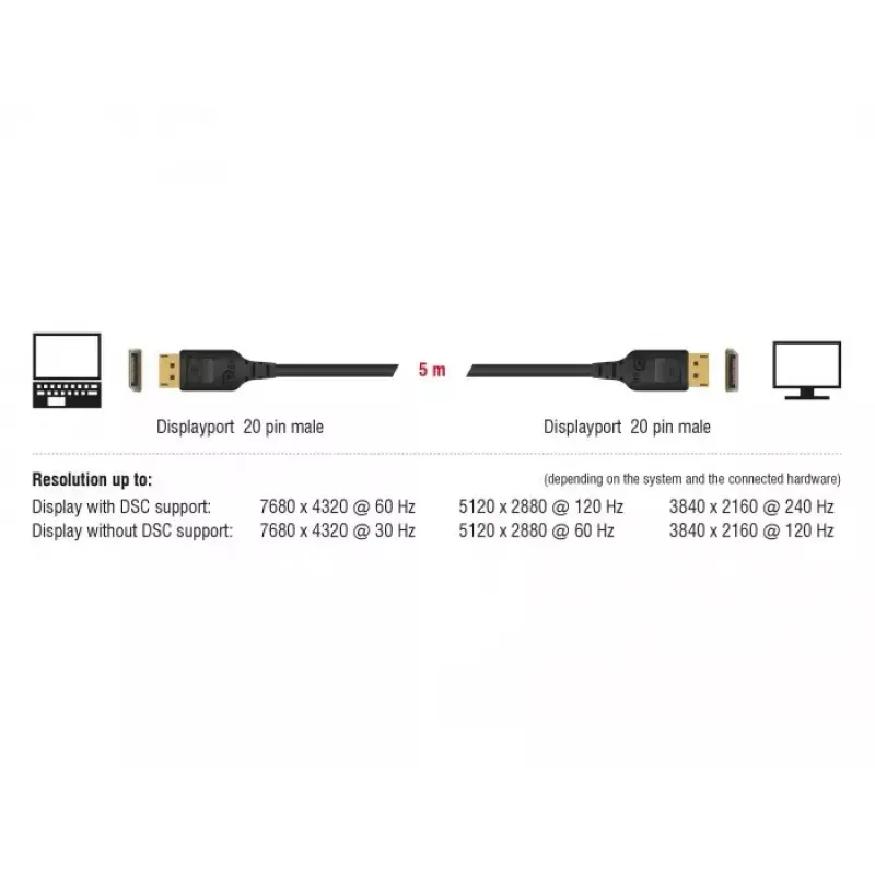 DisplayPort cable DeLOCK 85663 5 m Black