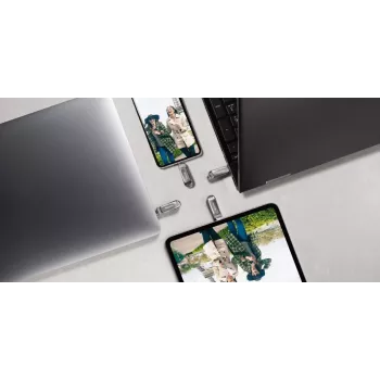 WESTERN DIGITAL SanDisk Ultra Dual Drive Luxe - 256GB USB Stick - USB TYPE-C / USB 3.1