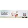 WESTERN DIGITAL SanDisk Ultra 32GB SDHC Memory Card Class 10 UHS-I 120MB/s (SDSDUN4-032G-GN6IN)