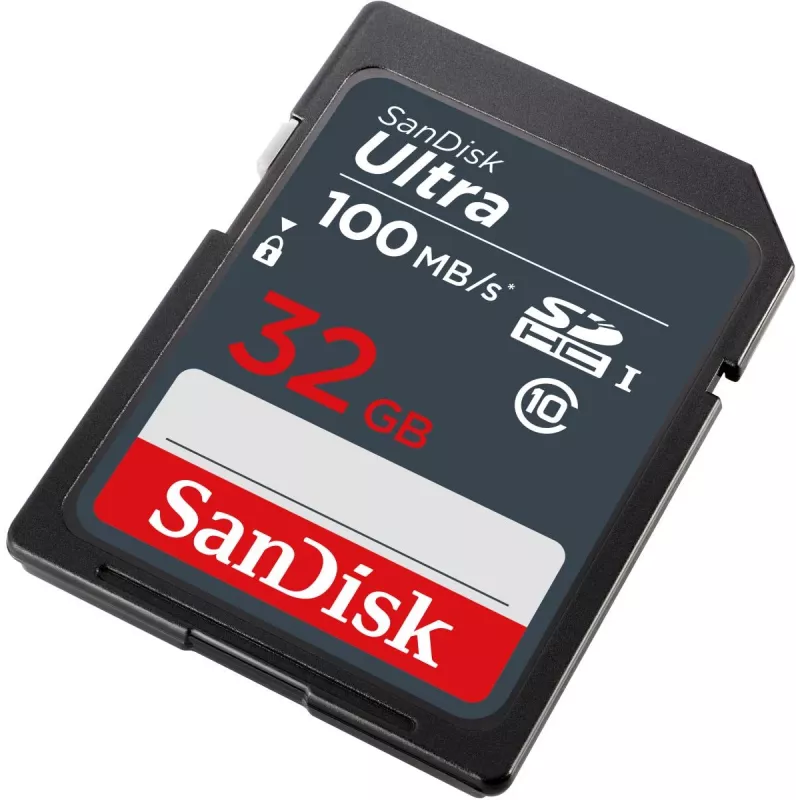 WESTERN DIGITAL SanDisk Ultra 32GB SDHC Mem Card 100MB/s (SDSDUNR-032G-GN3IN)