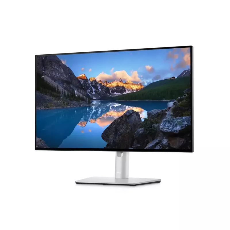 Monitor DELL UltraSharp 24 U2422H 23.8 inch Full HD LCD 1920x1080