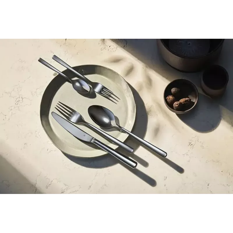 WMF Philadelphia 1166009999 flatware set 60 pc(s) Stainless steel