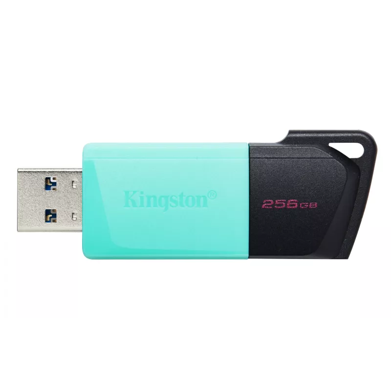 Kingston Technology DataTraveler 256GB USB3.2 Gen1 Exodia M (Black + Teal)