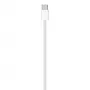 APPLE USB-c Charge Cable (1m)