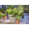 Drip irrigation system Gardena 13400-20 Hose length 15 m Black Green