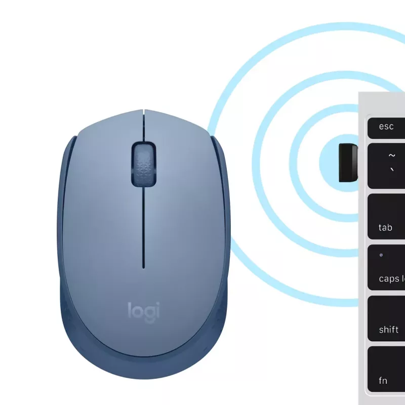 Mouse Logitech M171 RF Wireless Optical