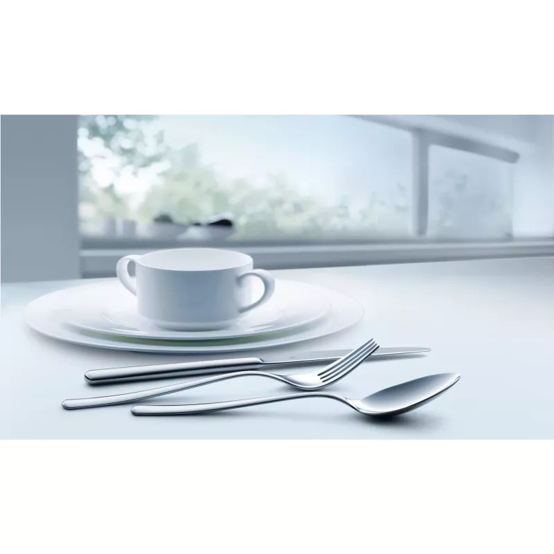 WMF Boston 1120009002 flatware set 60 pc(s) Stainless steel
