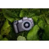 Canon EOS R8 + RF 24-50mm F4.5-6.3 IS STM Kit, 24.2 MP, 6000 x 4000 pixels, CMOS, 4K Ultra HD, Touchscreen, Black