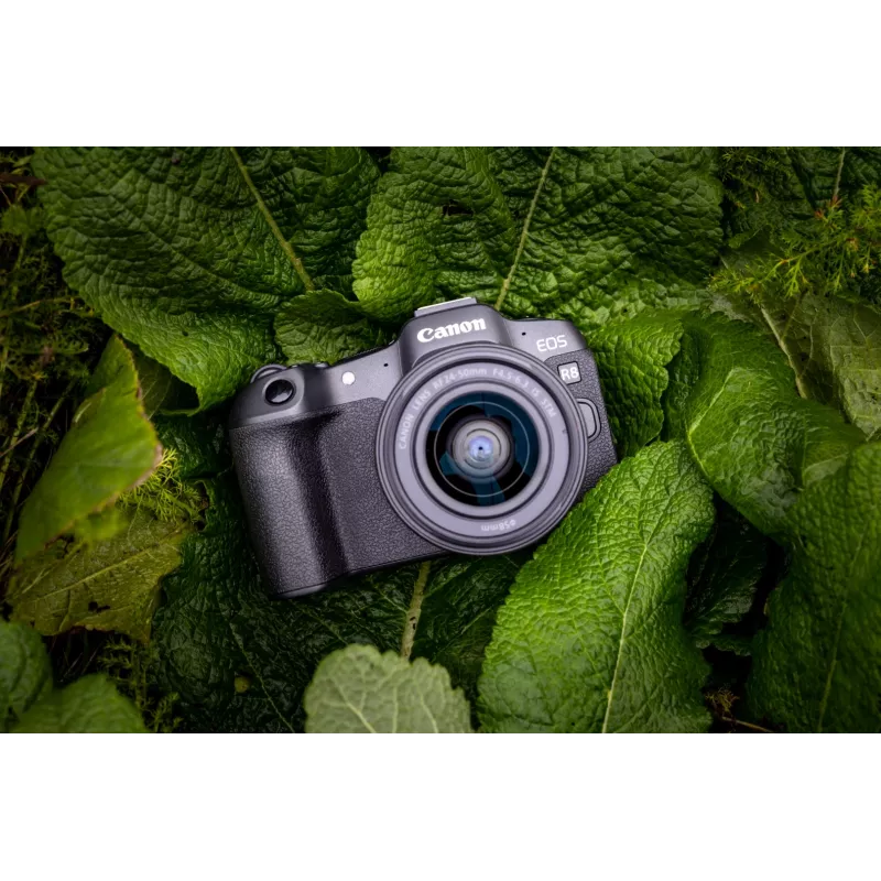 Canon EOS R8 + RF 24-50mm F4.5-6.3 IS STM Kit, 24.2 MP, 6000 x 4000 pixels, CMOS, 4K Ultra HD, Touchscreen, Black