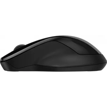 HP 250 Dual Mouse, Ambidextrous, Bluetooth + USB Type-A, 1600 DPI, Black