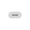 APPLE Lightning Adapter - 24pin USB-c Male To Lightning Female