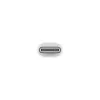 APPLE Lightning Adapter - 24pin USB-c Male To Lightning Female