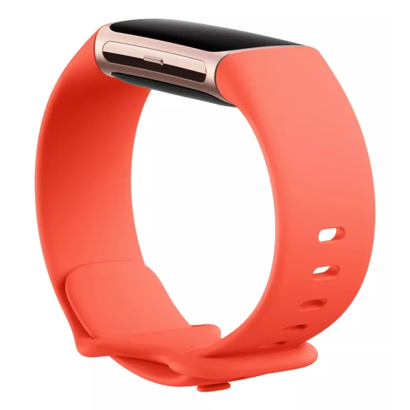 FITBIT Fitbit Charge 6 Obsidian / Black Aluminium