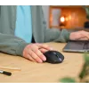 Trust Ozaa mouse Office Right-hand RF Wireless + Bluetooth Optical 3200 DPI