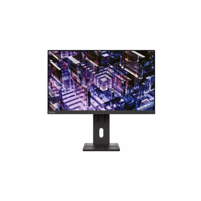 Monitor Lenovo ThinkVision E24q-30 23.8 inch 2K Ultra HD LED 2560 x 1440