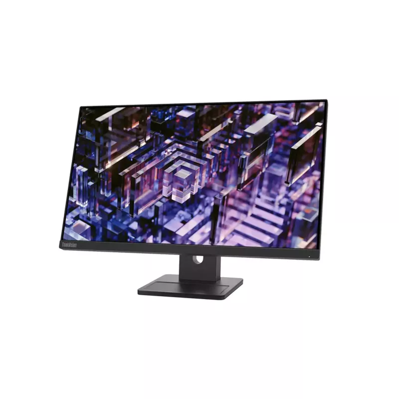 Monitor Lenovo ThinkVision E24q-30 23.8 inch 2K Ultra HD LED 2560 x 1440