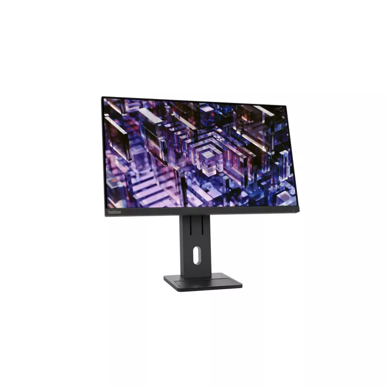 Monitor Lenovo ThinkVision E24q-30 23.8 inch 2K Ultra HD LED 2560 x 1440