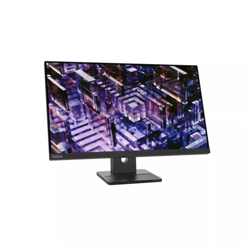 Monitor Lenovo ThinkVision E24q-30 23.8 inch 2K Ultra HD LED 2560 x 1440