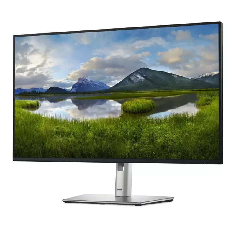 27 inch Dell P2725H IPS LCD monitor — Full HD 1920x1080, 100 Hz, 8 ms, 300 cd/m², USB 3.2 hub, HDMI, VESA, height-adjustable, black