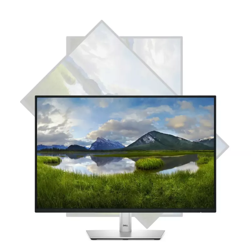 DELL Pro Plus P2425 computer monitor 61.1 cm (24.1 inch) 1920 x 1200 pixels WUXGA LCD Black