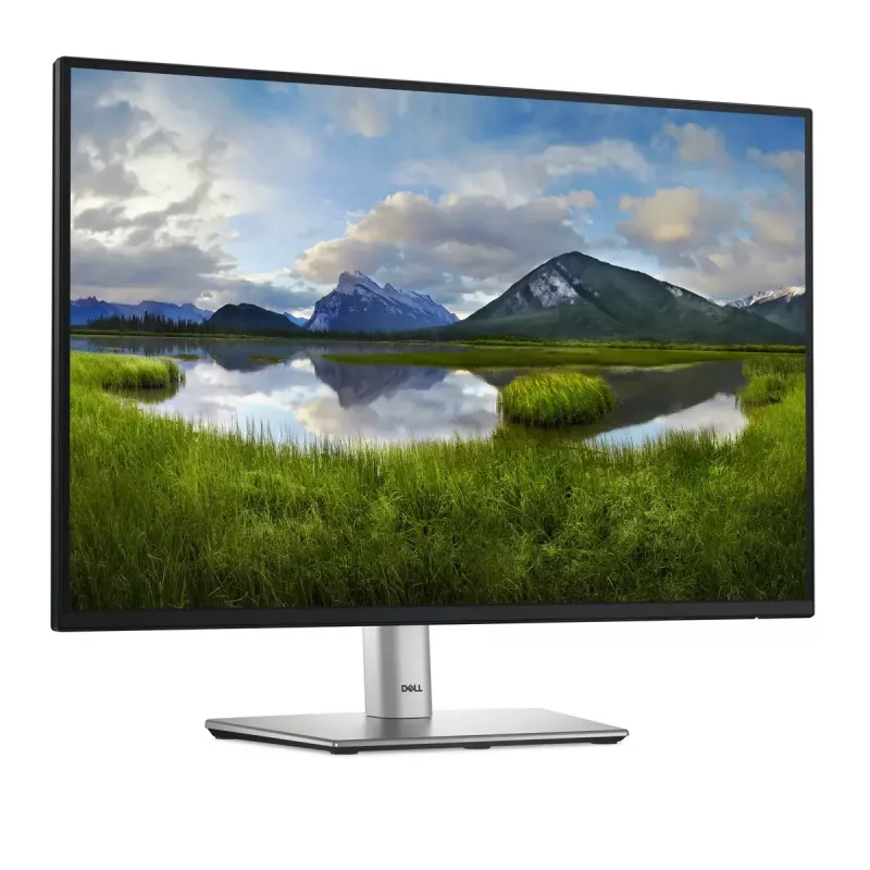 DELL Pro Plus P2425 computer monitor 61.1 cm (24.1 inch) 1920 x 1200 pixels WUXGA LCD Black
