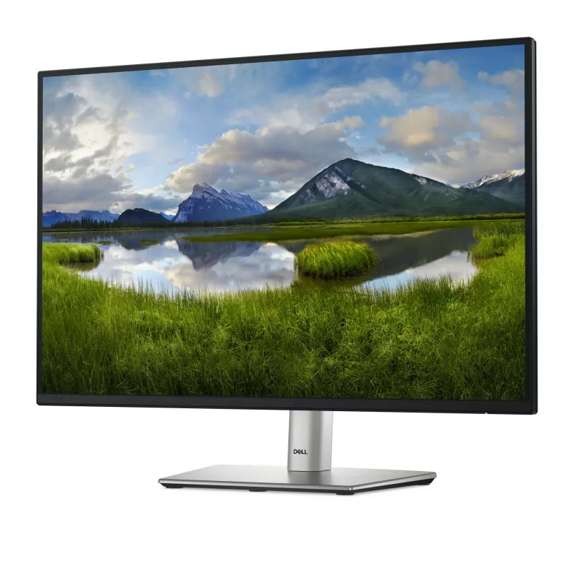 DELL Pro Plus P2425E computer monitor 61.1 cm (24.1 inch) 1920 x 1200 pixels WUXGA LCD Black