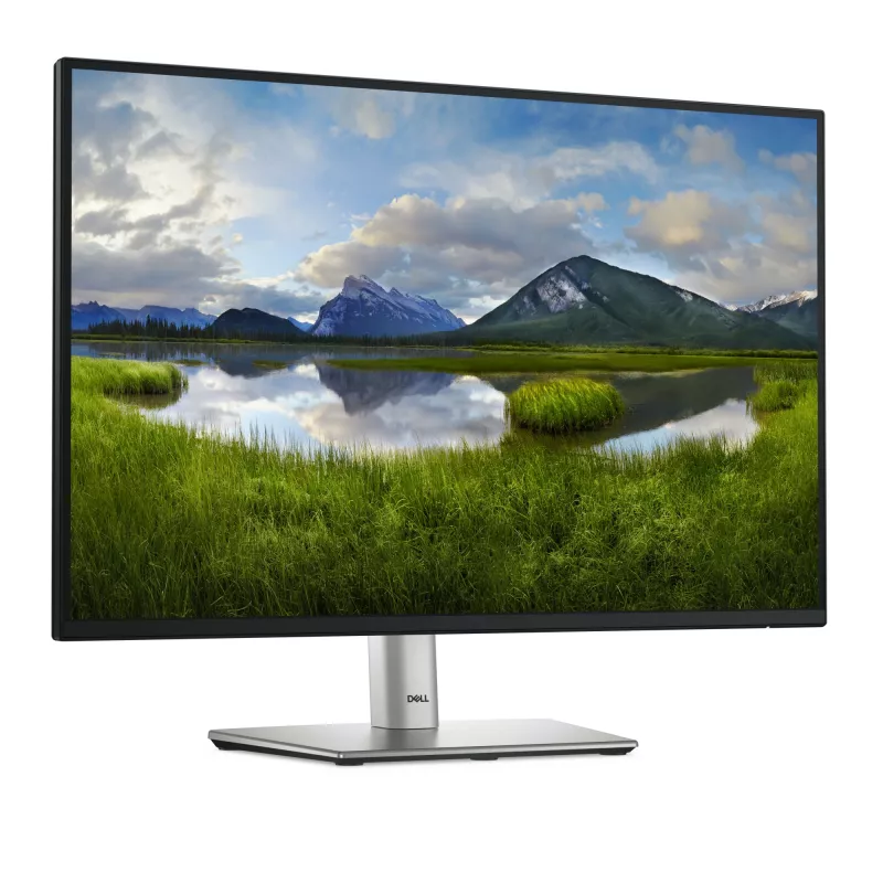 DELL Pro Plus P2425E computer monitor 61.1 cm (24.1 inch) 1920 x 1200 pixels WUXGA LCD Black