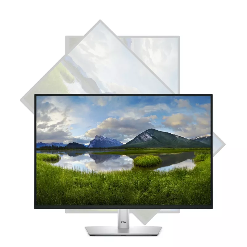 DELL Pro Plus P2425E computer monitor 61.1 cm (24.1 inch) 1920 x 1200 pixels WUXGA LCD Black