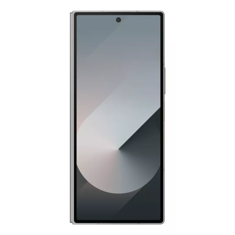 Samsung Galaxy Z Fold6, 19.3 cm (7.6 inch), 12 GB, 256 GB, 50 MP, Android 14, Silver
