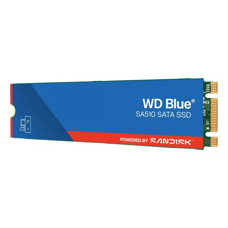 WESTERN DIGITAL SSD - WD Blue SA510 - 1TB - SATA 6Gb/s - M.2 2280