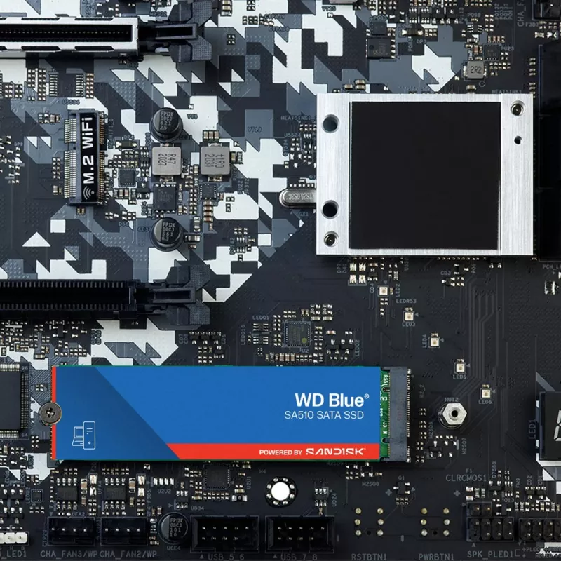 WESTERN DIGITAL SSD - WD Blue SA510 - 1TB - SATA 6Gb/s - M.2 2280