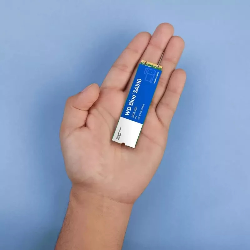 WESTERN DIGITAL SSD - WD Blue SA510 - 2TB - SATA 6Gb/s - M.2 2280